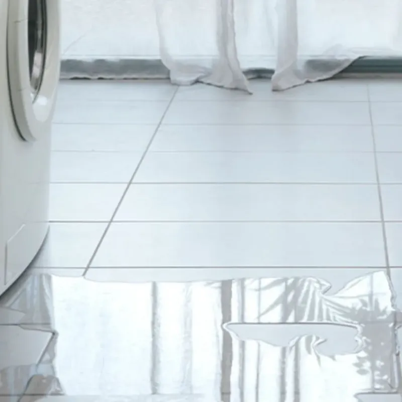 Appliance Leak Cleanup in Kauai County, HI